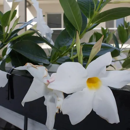 La Dimora Di Greta Bed and breakfast Fasano